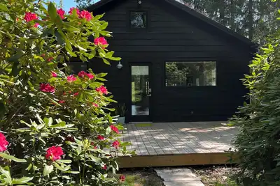 Image de Cheery Nordic Cottage Filled with Light and Happiness
