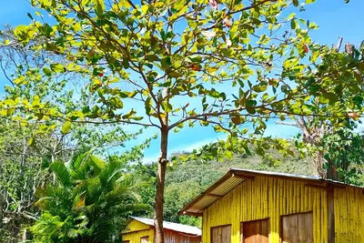 Image de Bamboo cabin with 2 double beds