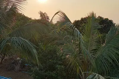 Image de Homestay offers families a serene hilltop retreat surrounded by nature.
