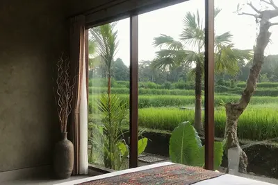 Image de Tranquil in Bali Beauty Nature Kdv2
