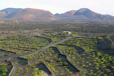 Image de Journey to Lanzarote's Core: Rustic House in a Volcanic Unique Paradise
