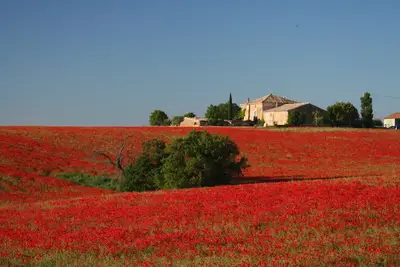 Image de mas au clos de la tuilerie