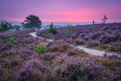 Image de Vacation home Sallandse Heuvelrug, Hellendoorn, Zwolle in nature with Luxe Hottub