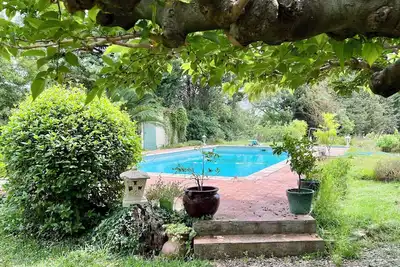 Image de Évasion provençale : ravissante maisonnette au cœur des oliviers