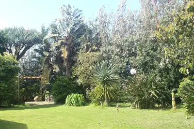 Image de Rustic house with garden overlooking the sea in the center of the island