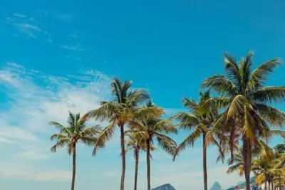 Image de 2 bedroom apartment with pool and 10 km from Copacabana