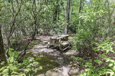 Image de Unique Cabin w/ Fire Pit and Tennis On Site