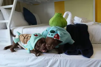 Image de Sapphire Seaview Park