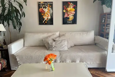 Image de Charming 2-bedroom apartment in marvelous Punta Carretas Montevideo.