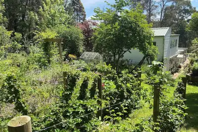Image de Emerald Forest House - Escape to Nature