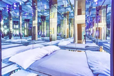 Image de The Omg House that will Blow Your Mind with Unbelievable Cats n Mirrors