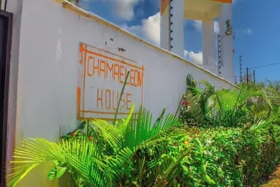 Image de chameleon house 2