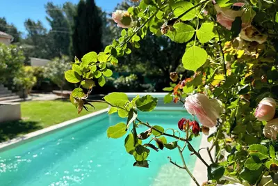 Image de Les Lauriers Roses \nmaison avec piscine - quartier prisé Isle sur la Sorgue