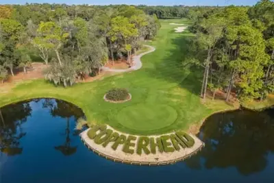 Image de Cozy 1-bedroom condo in the heart of Innisbrook prestigious Golf Course’s