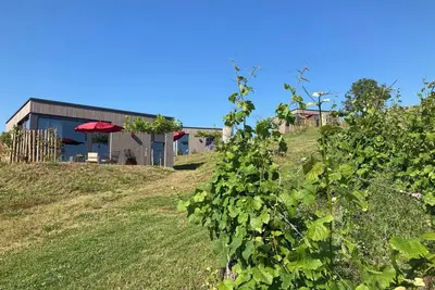 Image de MoselHoch vacation cottage in the vineyards of Klüsserath