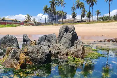 Image de 1 Bedroom Apartment with Sea View - Salvador - Work and Leisure at the same time