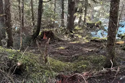 Amazing Campsite in Seward