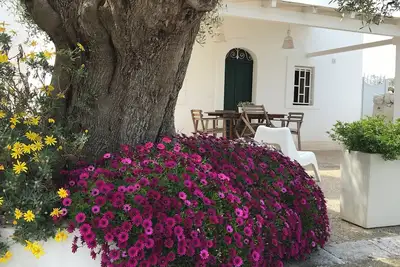Image de Villa Boucanville, within walking distance of Polignano and Monopoli and the beautiful sea