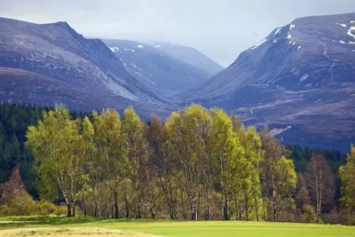 Image de Fairwinds is a cosy pet friendly two bedroom property in Dalnabay Aviemore. With enclsoed pet frie
