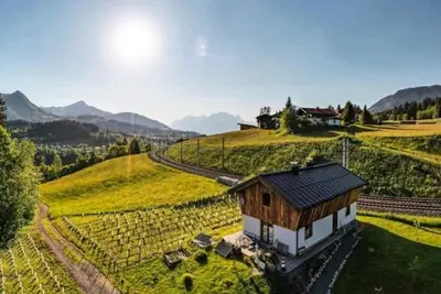 Image de Chalet ensoleillé dans un endroit isolé avec vignoble