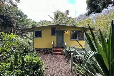 Quiet eco-friendly studio nestled in Bamboo grove minutes from Hawi town