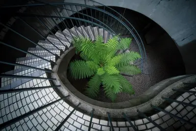 Image de An Elevated Hotel in Palo Alto, Ca
