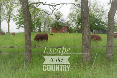 Image de Country Retreat in Ancaster - 5 minutes to Hamilton Airport