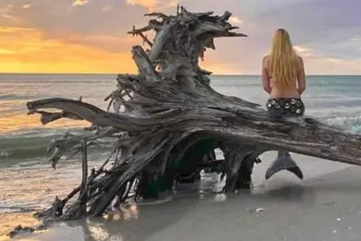 Image de Salty Mermaid. Beach House on Little Gasparilla Island. Come get salty!
