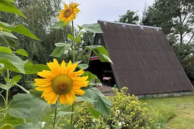 Image de FinnhĂĽtten Waldesruh, cozy vacation home in Westhavelland - Cabin A.