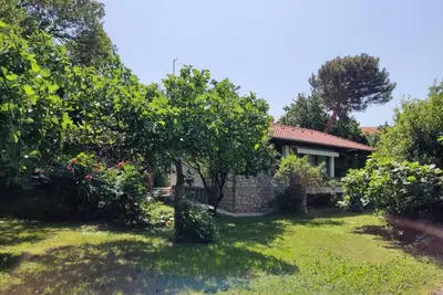 Image de Apartment & Rooms Villa Oliva - Two Bedroom Apartment