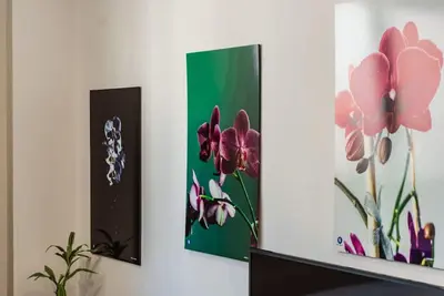 Image de Modern Studio by the Beach - Orkidea