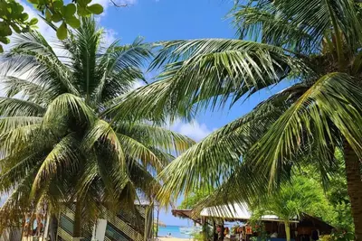 Image de Modern Beachfront 1br, 1. 5 Bath + Parking