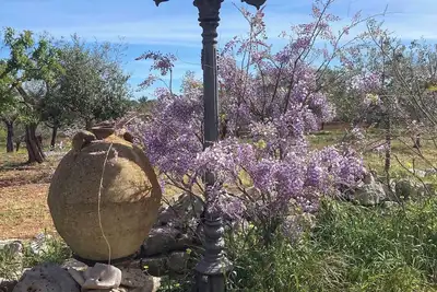 Image de Rustic Stone House in Puglia | Peace, Silence & Olive Trees