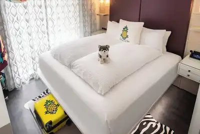 Image de Fashionista Connectors at Staypineapple, An Artful Hotel, Midtown