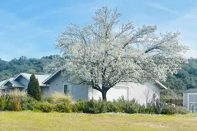 Image de Cozy house near Yosemite Oakhurst, Hot tub Game Room Ev charger