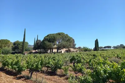Image de Les Lausiers, vue exceptionnelle entre Ventoux et Dentelles de Montmirail