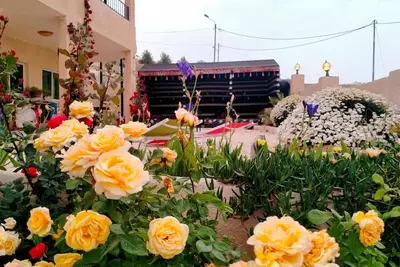 Image de Charming bed & breakfast in marvelous Wadi Musa with breakfast included