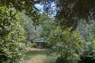 Image de Gîte Tropica Nîmes climatisé Piscine, toboggan, paillote