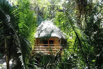 Image de Basil Cabin 2. Romantic Ecolodge in the jungle by the sea