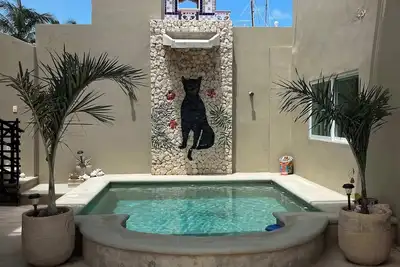 Image de Casa Vaquero Summary: