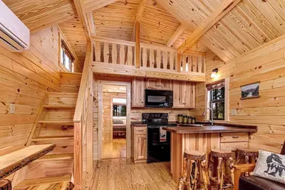Image de Cozy Cabin on Seneca Wine Trail Vineyard/Lake View 1