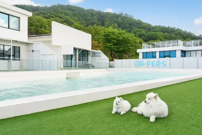Image de Gyeongju Purspet Dog Pension