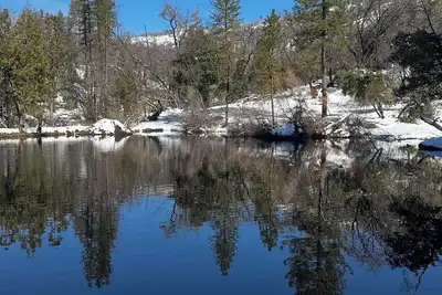 Image de Charming cabin in pleasant Auberry close to Shaver Lake. A hidden treasure!