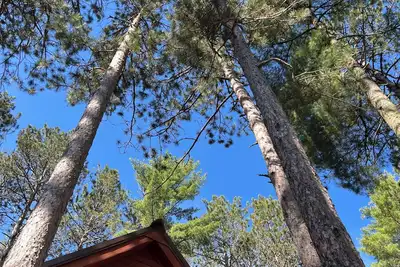 Image de Piney Woods Retreat in Ely, Minnesota