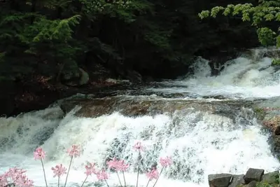 Image de Cottage beside a waterfall