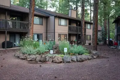 Image de Sports Village / 3 Br 2 Ba / Fireplace / Sleeps 6+