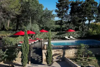 Image de Studio au milieu des vignes