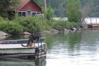 Image de Rustic Log Cabin #8 on Crow Lake at Bull Moose Lodge. Family and pet friendly