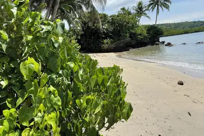 Image de Private Island Escape Fiji, Yoga, Wellness & Beachfront Serenity.