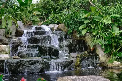 Image de Lush Inn Phuket